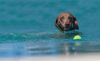 Similar image 11465753