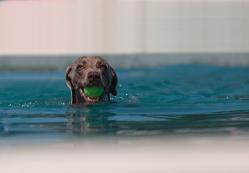 Similar image 11465754