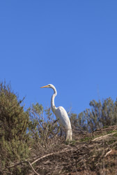 Similar image 11465755