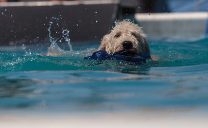 Similar image 11465756