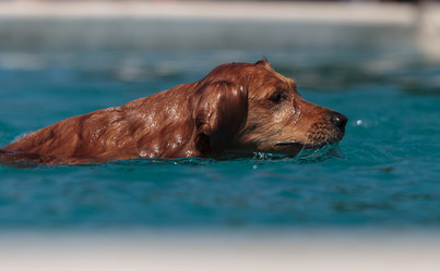 Similar image 11465759