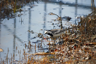 Similar image 11460303