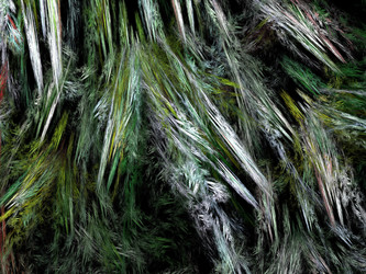 Similar image 11464705