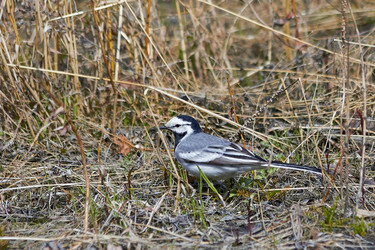 Similar image 11460312