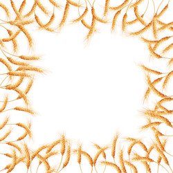 Similar image 11465542