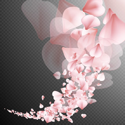 Similar image 11465544