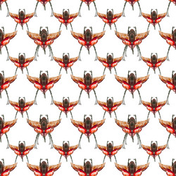 Similar image 11465265