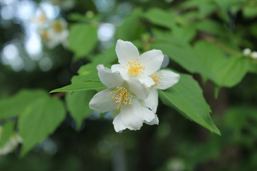 Similar image 11464609