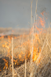 Similar image 11465591