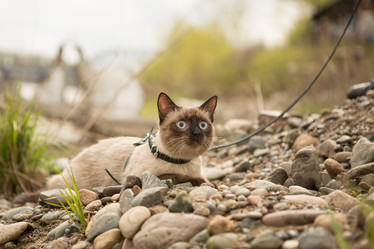 Similar image 11465618