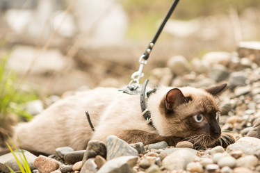 Similar image 11465619