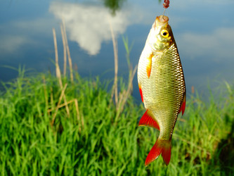 Similar image 11464623