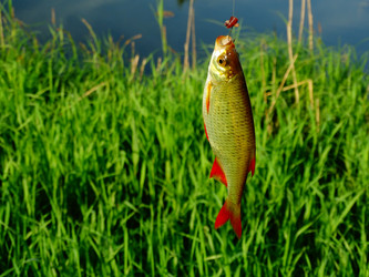 Similar image 11464624