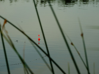 Similar image 11464639