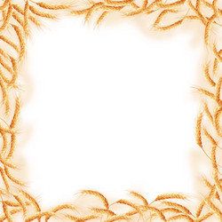 Similar image 11465530