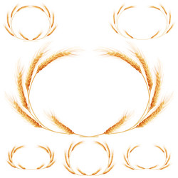 Similar image 11465531