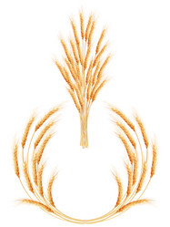 Similar image 11465532