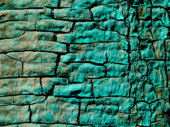 Similar image 11465279