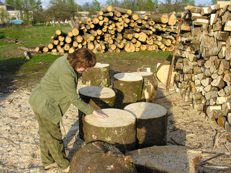 Similar image 11464452