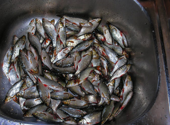 Similar image 11464453