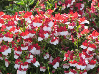 Similar image 11465246