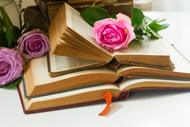 Similar image 11466276