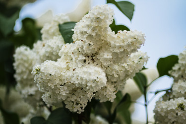 Similar image 11464455