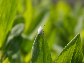 Similar image 11464441