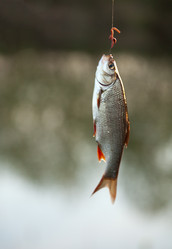 Similar image 11464458