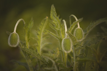 Similar image 11464459