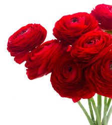 Similar image 11466087