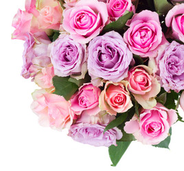 Similar image 11466089