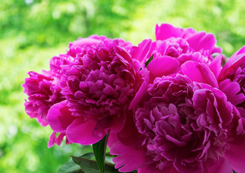 Similar image 11465201