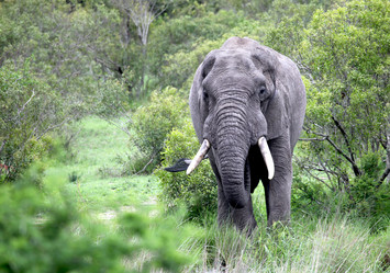 Similar image 11465570