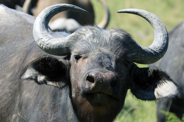 Similar image 11465571