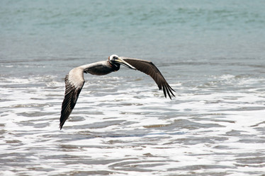 Similar image 11465572