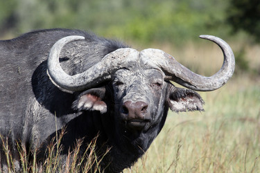 Similar image 11465582