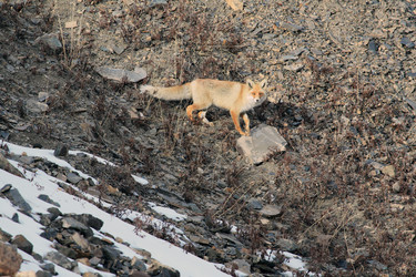 Similar image 11465583