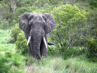 Similar image 11465588