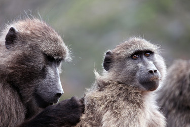 Similar image 11465593