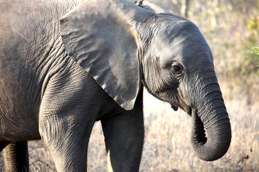 Similar image 11465598