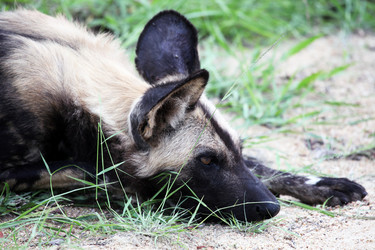 Similar image 11465602