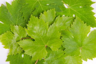 Similar image 11465375