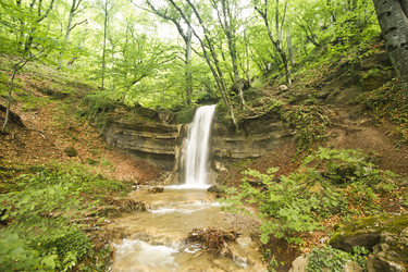 Similar image 11468231