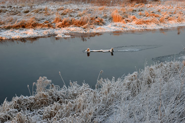 Similar image 11466192