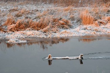 Similar image 11466193