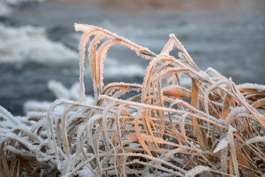 Similar image 11466194