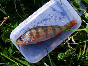 Similar image 11466127