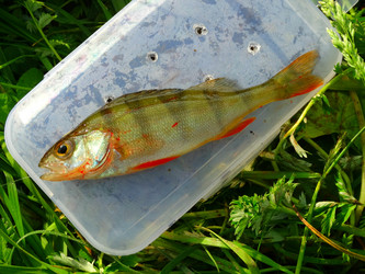 Similar image 11466128