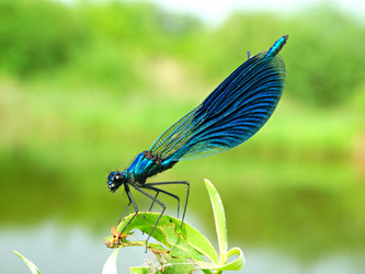 Similar image 11466129